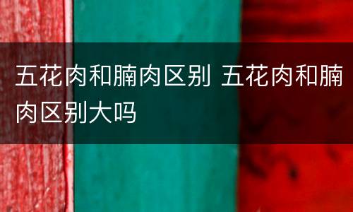 五花肉和腩肉区别 五花肉和腩肉区别大吗