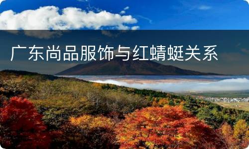 广东尚品服饰与红蜻蜓关系