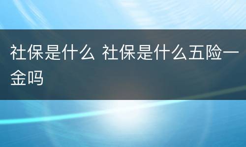 社保是什么 社保是什么五险一金吗