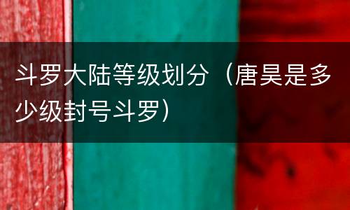 斗罗大陆等级划分（唐昊是多少级封号斗罗）