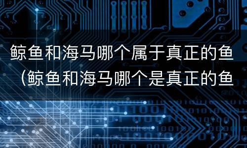 鲸鱼和海马哪个属于真正的鱼（鲸鱼和海马哪个是真正的鱼）