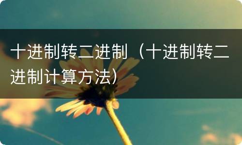 十进制转二进制（十进制转二进制计算方法）