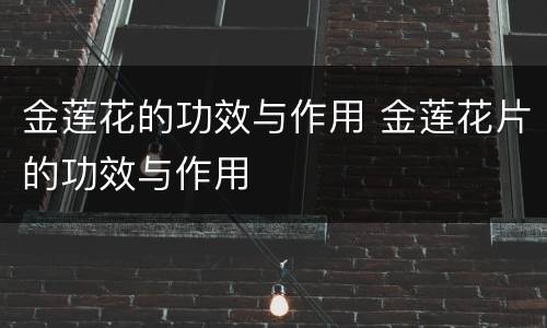 金莲花的功效与作用 金莲花片的功效与作用