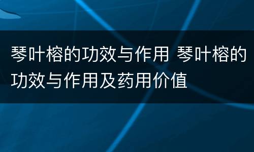 琴叶榕的功效与作用 琴叶榕的功效与作用及药用价值