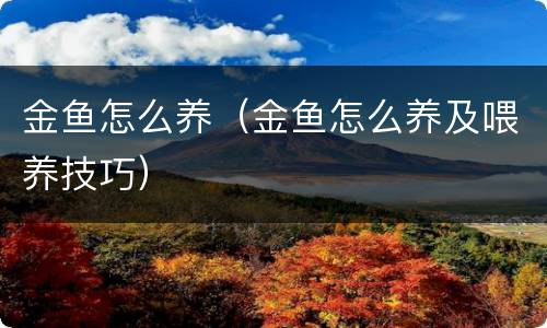 金鱼怎么养（金鱼怎么养及喂养技巧）
