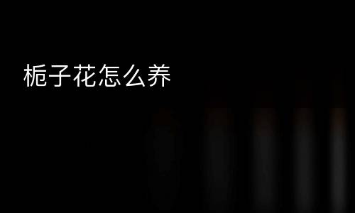  栀子花怎么养