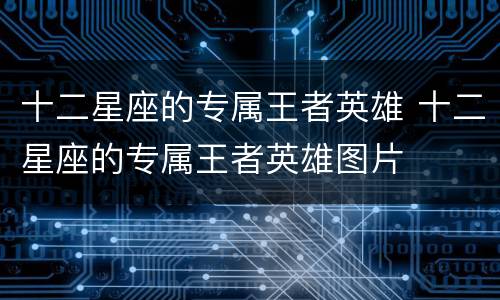 十二星座的专属王者英雄 十二星座的专属王者英雄图片
