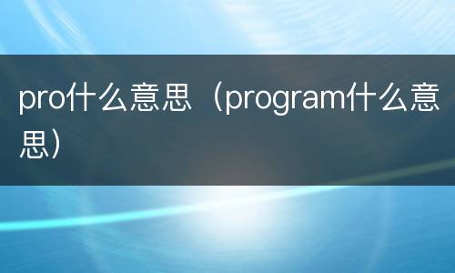 pro什么意思（program什么意思）