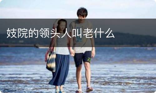 妓院的领头人叫老什么