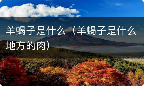 羊蝎子是什么（羊蝎子是什么地方的肉）