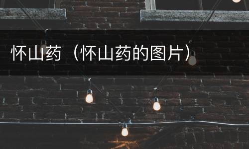 怀山药（怀山药的图片）