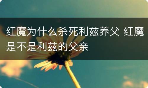 红魔为什么杀死利兹养父 红魔是不是利兹的父亲