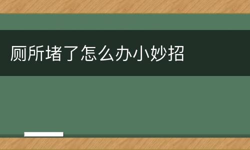厕所堵了怎么办小妙招