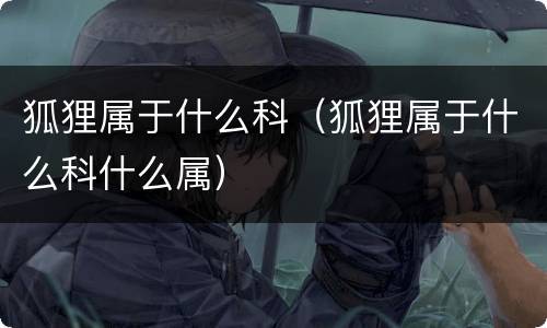 狐狸属于什么科（狐狸属于什么科什么属）