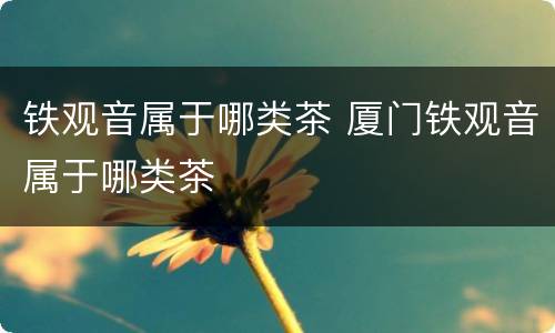 铁观音属于哪类茶 厦门铁观音属于哪类茶