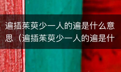 遍插茱萸少一人的遍是什么意思（遍插茱萸少一人的遍是什么意思 百度网盘）