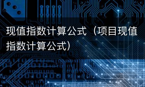 现值指数计算公式（项目现值指数计算公式）