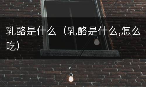 乳酪是什么（乳酪是什么,怎么吃）