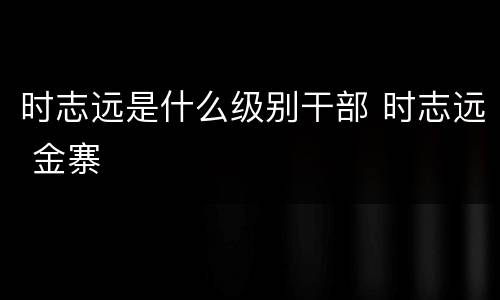 时志远是什么级别干部 时志远 金寨