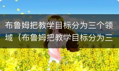 布鲁姆把教学目标分为三个领域（布鲁姆把教学目标分为三个领域分别是）