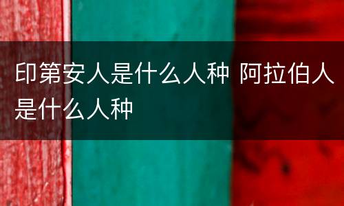 印第安人是什么人种 阿拉伯人是什么人种