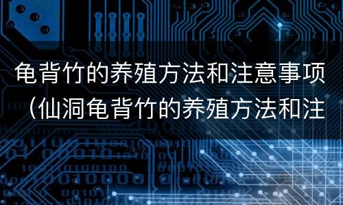 龟背竹的养殖方法和注意事项（仙洞龟背竹的养殖方法和注意事项）