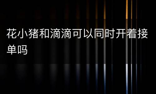 花小猪和滴滴可以同时开着接单吗