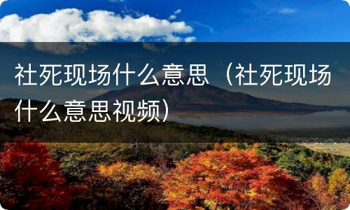 社死现场什么意思（社死现场什么意思视频）