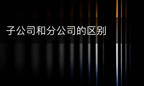 子公司和分公司的区别