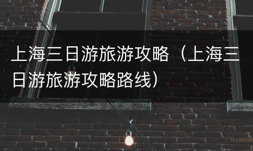 上海三日游旅游攻略（上海三日游旅游攻略路线）