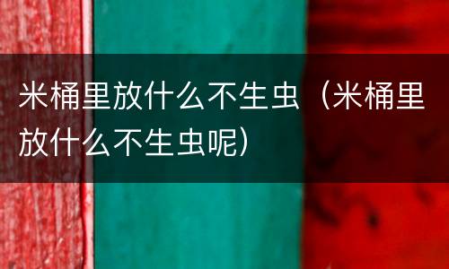 米桶里放什么不生虫（米桶里放什么不生虫呢）