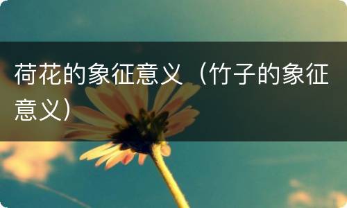 荷花的象征意义（竹子的象征意义）