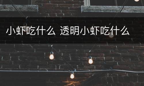 小虾吃什么 透明小虾吃什么