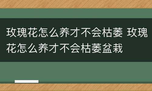 玫瑰花怎么养才不会枯萎 玫瑰花怎么养才不会枯萎盆栽