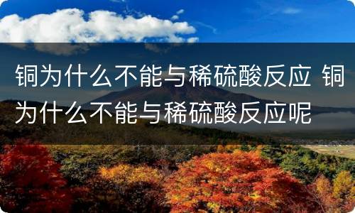 铜为什么不能与稀硫酸反应 铜为什么不能与稀硫酸反应呢