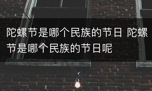 陀螺节是哪个民族的节日 陀螺节是哪个民族的节日呢