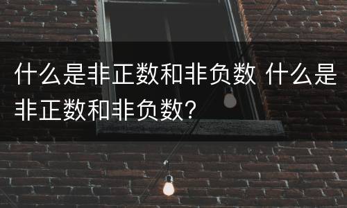 什么是非正数和非负数 什么是非正数和非负数?