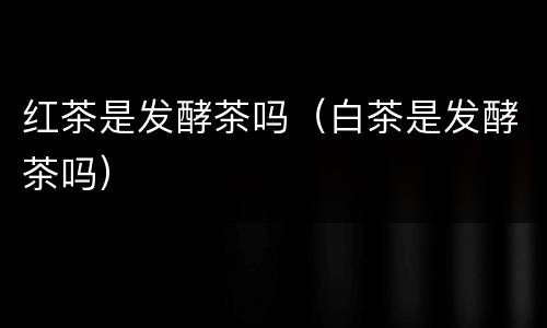 红茶是发酵茶吗（白茶是发酵茶吗）