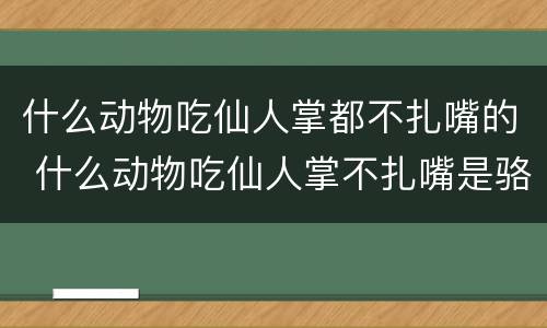 什么动物吃仙人掌都不扎嘴的 什么动物吃仙人掌不扎嘴是骆驼还是非洲鸵鸟
