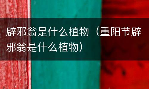 辟邪翁是什么植物（重阳节辟邪翁是什么植物）