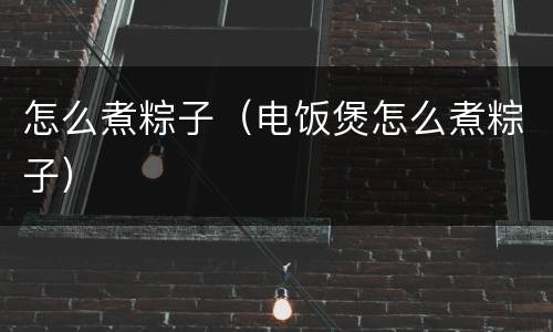 怎么煮粽子（电饭煲怎么煮粽子）