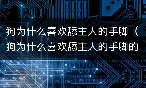 狗为什么喜欢舔主人的手脚（狗为什么喜欢舔主人的手脚的危害）