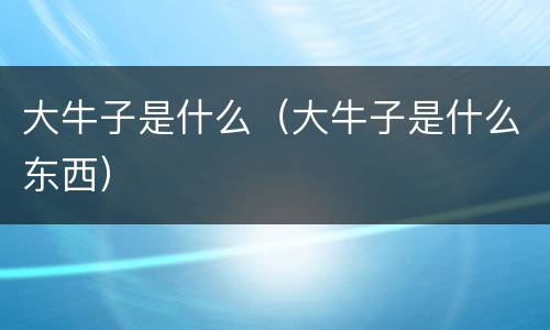 大牛子是什么（大牛子是什么东西）