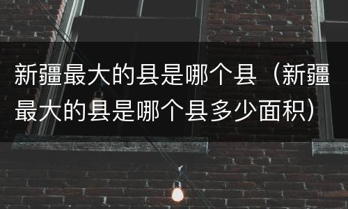 新疆最大的县是哪个县（新疆最大的县是哪个县多少面积）