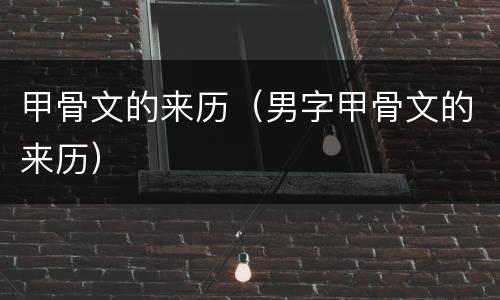 甲骨文的来历（男字甲骨文的来历）