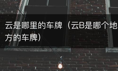 云是哪里的车牌（云B是哪个地方的车牌）
