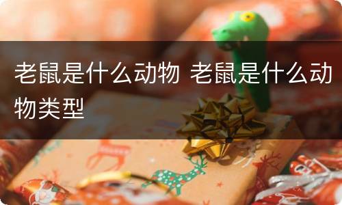 老鼠是什么动物 老鼠是什么动物类型