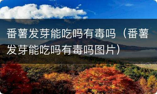 番薯发芽能吃吗有毒吗（番薯发芽能吃吗有毒吗图片）