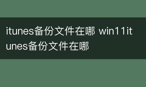 itunes备份文件在哪 win11itunes备份文件在哪