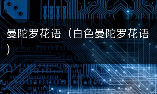 曼陀罗花语（白色曼陀罗花语）